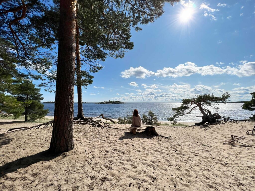 Скамейка на острове Койонсаари