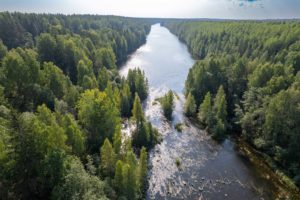 Река Кивач рядом с водопадом