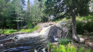 водопад Койриноя, лесные водопады