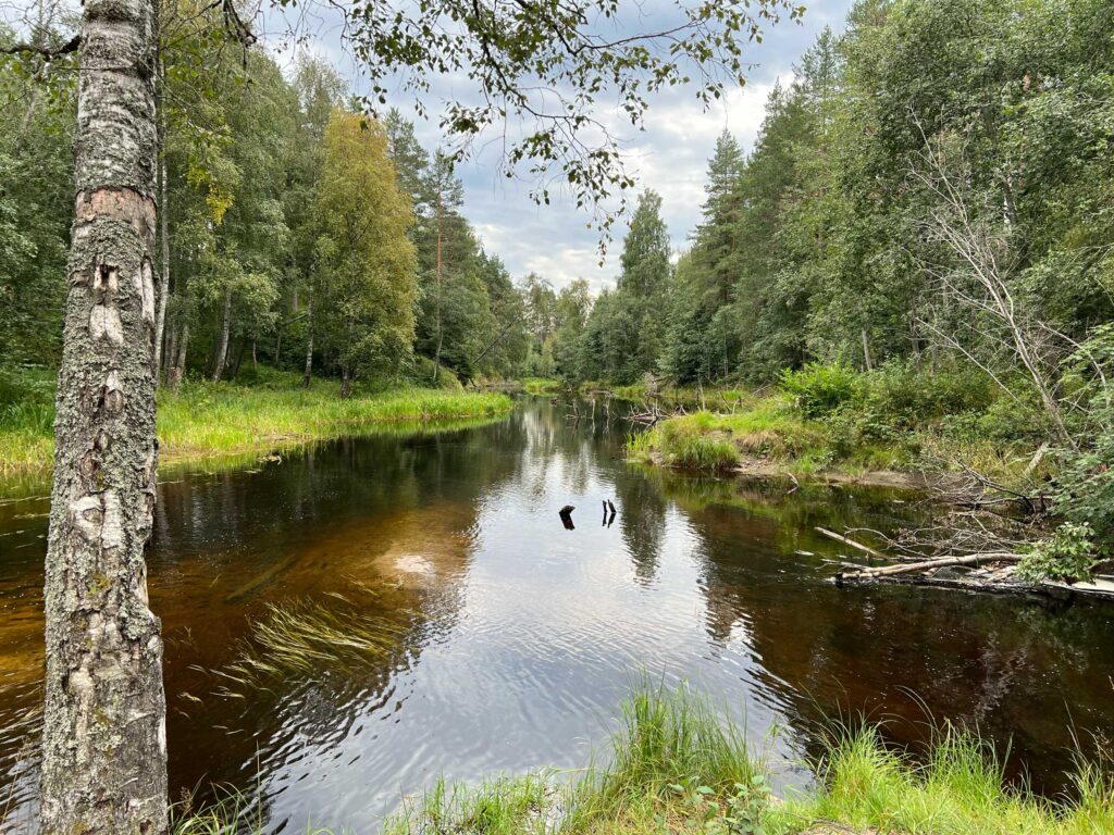 Река Койринйоки