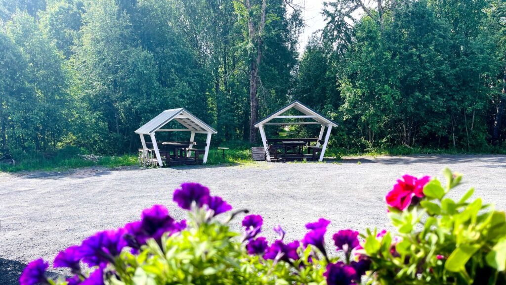 природа Карелии, беседка