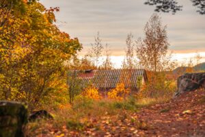 Осень в парке в Ваккосалми