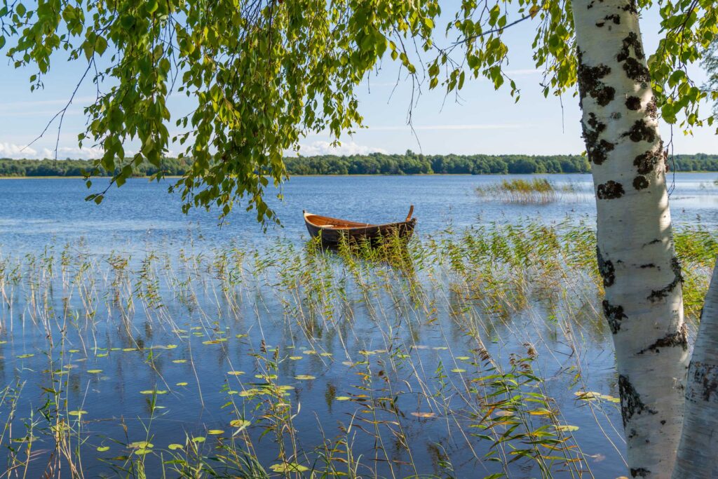 Природа Карелии