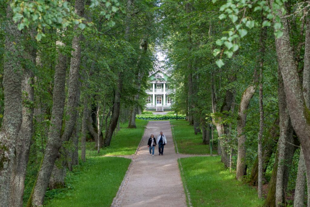 Аллея к главному дому усадьбы Петровское