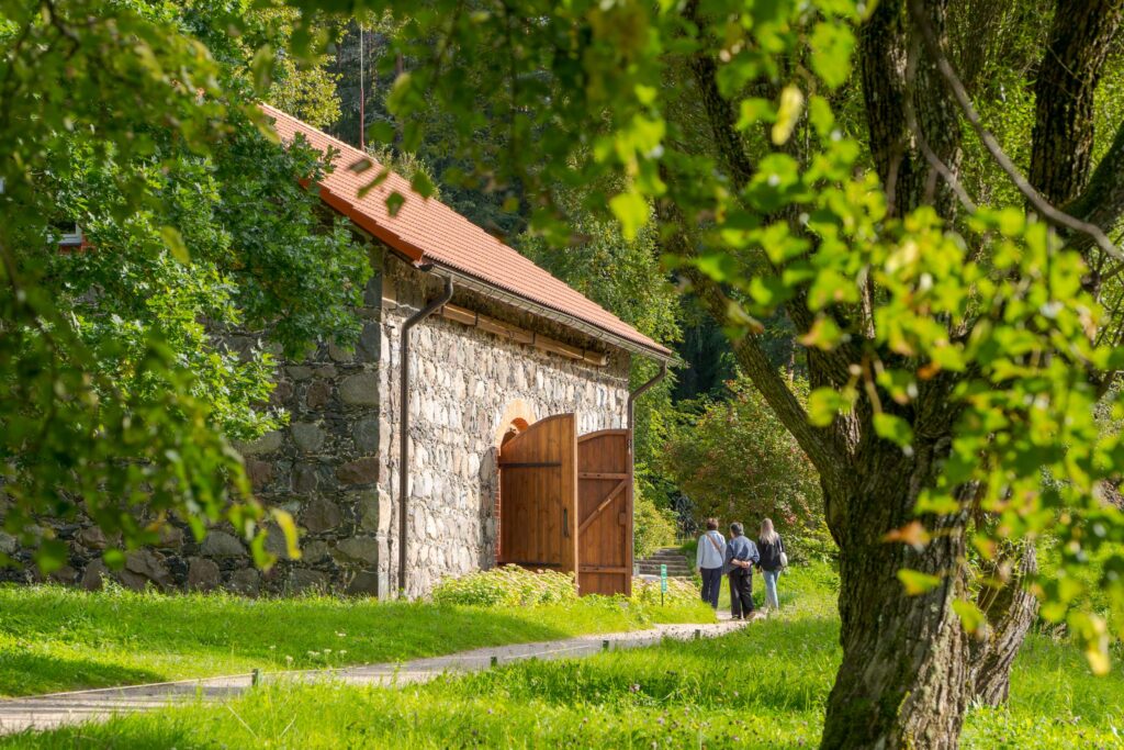 Вход в каменный флигель Михайловского