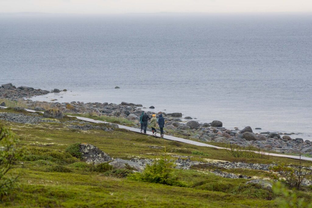 Берег Белого моря Заяцкий остров