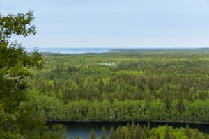 Монастырь и Белое море вдали, вид с Секирной горы