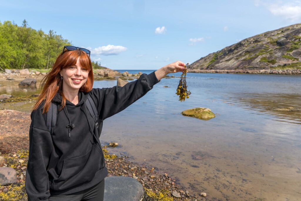 У пролива архипелага Кузова на Соловках, туристка показывает пучок морских водорослей на каменистом берегу