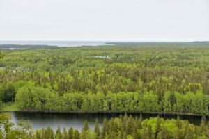 Вид на озеро у подножия Секирной горы окруженное плотной стеной карельского леса