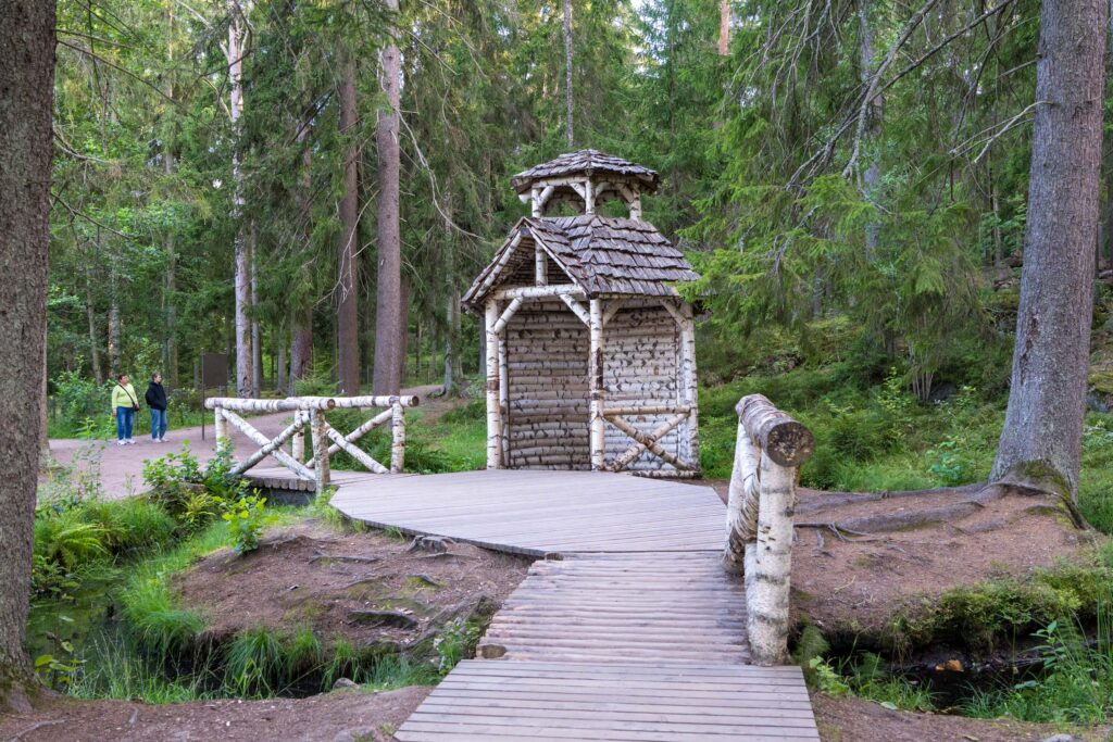 Берёзовая беседка в парке Монрепо