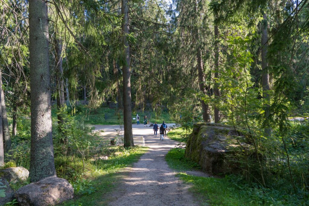 Лесная тропа парка Монрепо